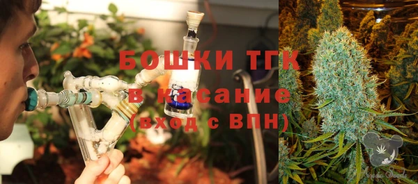 кокс Арсеньев