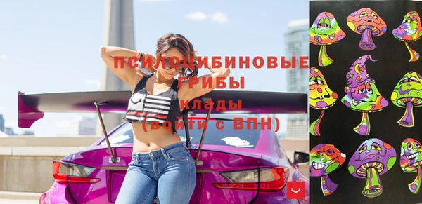 кокс Арсеньев