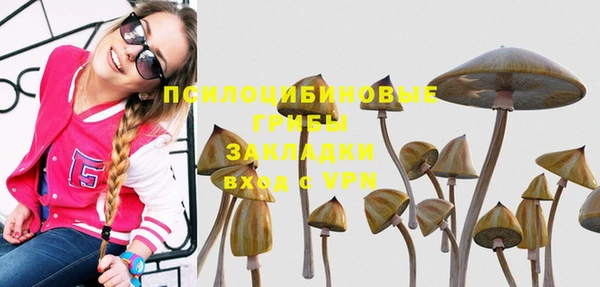 стаф Армянск